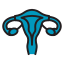 IUI (Intrauterine Insemination)